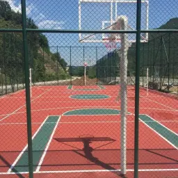 n.jpg