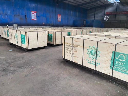 1250X2500mm Film Faced Plywood to European Country