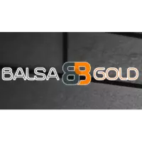 Balsa Group