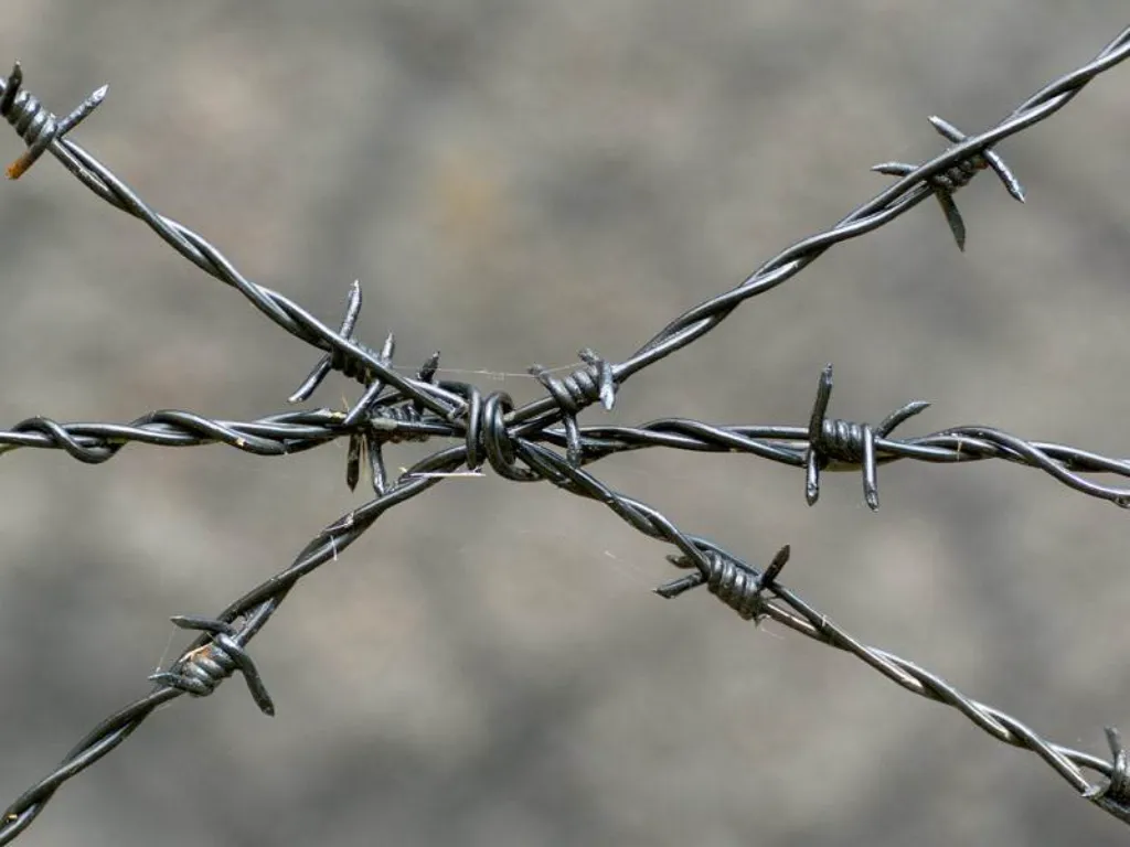 Barbed Wire